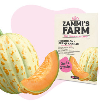 Moskusmelon 'Oranje Ananas' (Cucumis melo) fr&oslash;