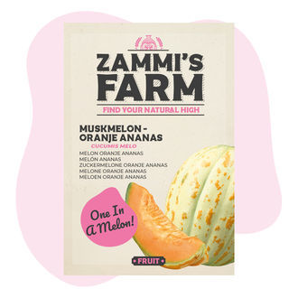 Moskusmelon 'Oranje Ananas' (Cucumis melo) frø