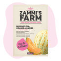Moskusmelon 'Oranje Ananas' (Cucumis melo) frø