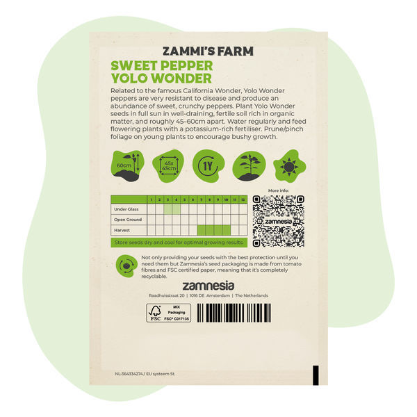 Sød peber Yolo Wonder (Capsicum annuum) frø