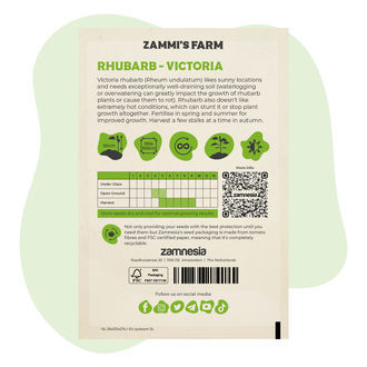 Victoria-rabarber (Rheum undulatum) frø