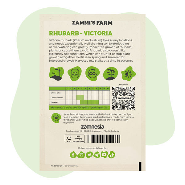 Victoria-rabarber (Rheum undulatum) frø