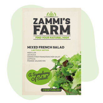 Blandede franske salatfrø (Lactuca sativa)