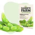 Sojabønne 'Edamame Green Shell' (Glycine max) frø