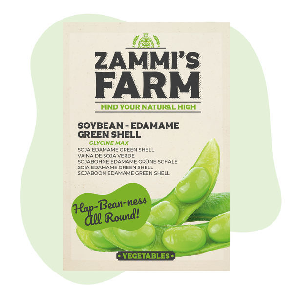 Sojabønne 'Edamame Green Shell' (Glycine max) frø