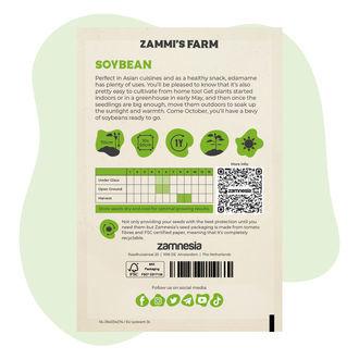 Sojabønne 'Edamame Green Shell' (Glycine max) frø
