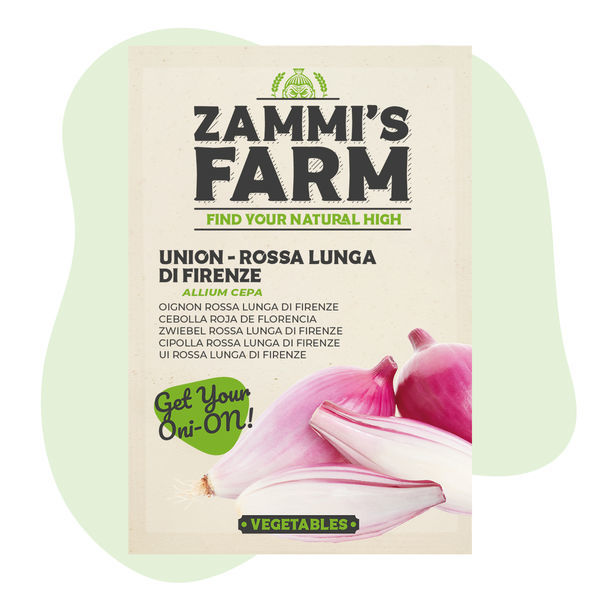 Løg 'Rossa lunga di Firenze' (Allium cepa) Frø
