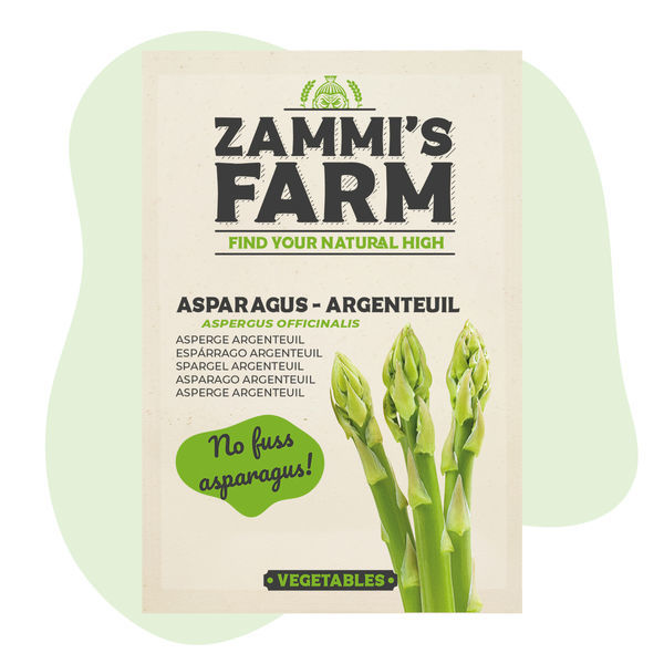 Asparges 'Argenteuil' (Asparagus officinalis) frø