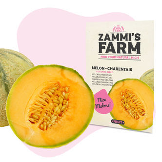 Melon 'Charentais' (Cucumis melo) fr&oslash;