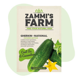 Drueagurk 'National' (Cucumis sativus) frø