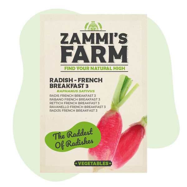 Radise 'French Breakfast 3' (Raphanus sativus) frø