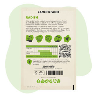 Radise 'French Breakfast 3' (Raphanus sativus) frø