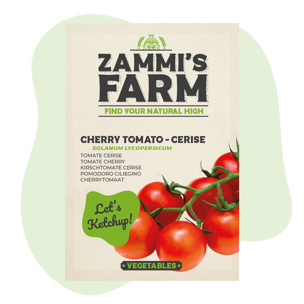 Cherrytomat – cerise (Lycopersicon esculentum) frø