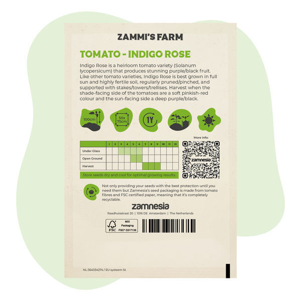 Indigo Rose-tomatfrø (Solanum lycopersicum)