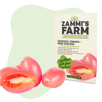 Cocktailtomat 'Thai Pink Egg' (Solanum lycopersicum) frø