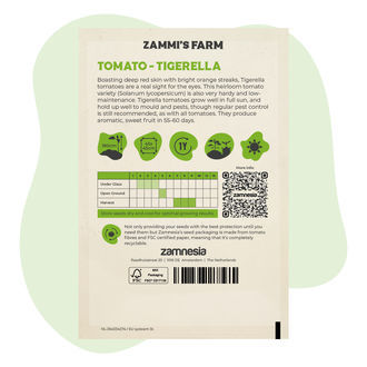 Tigerella-tomatfrø (Solanum lycopersicum)