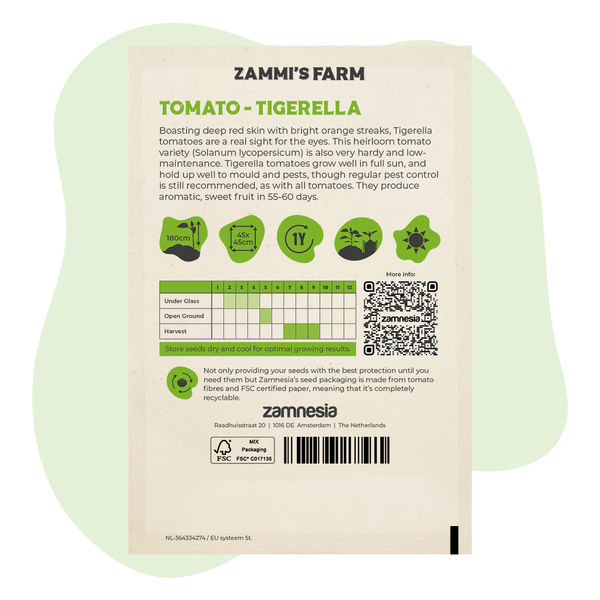 Tigerella-tomatfrø (Solanum lycopersicum)