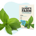 Stevia (Stevia rebaudiana) frø