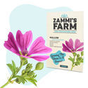Almindelig katost (Malva sylvestris) frø