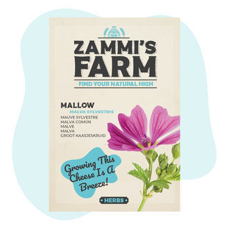 Almindelig katost (Malva sylvestris) frø