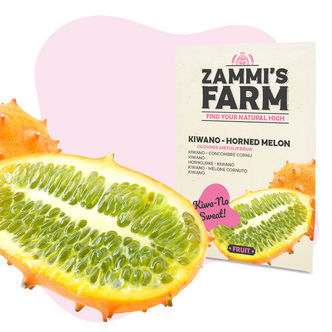 Kiwano-fr&oslash; (Cucumis metuliferus)