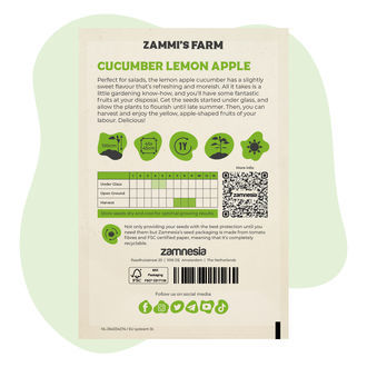 Frø af Lemon Apple-agurk (Cucumis sativus)