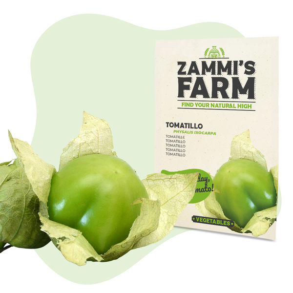 Tomatillo-frø (Physalis ixocarpa)