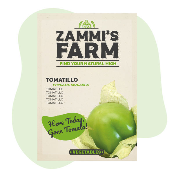 Tomatillo-frø (Physalis ixocarpa)