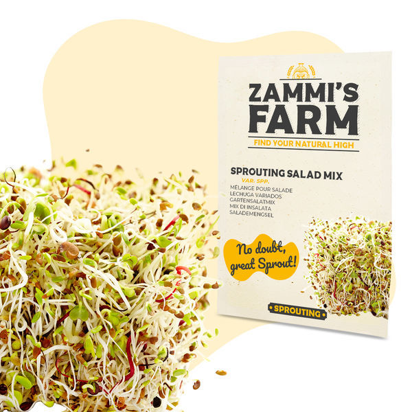 Spirefrø til salatmix