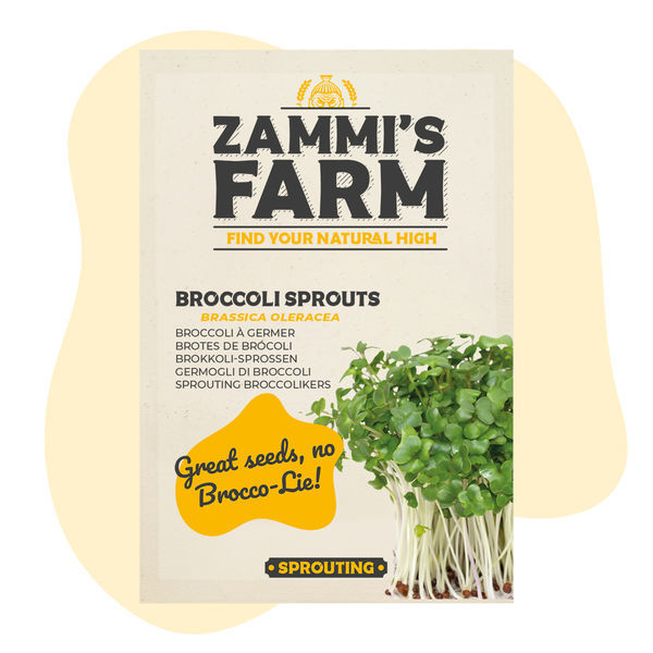Broccolispirer (Brassica oleracea) frø