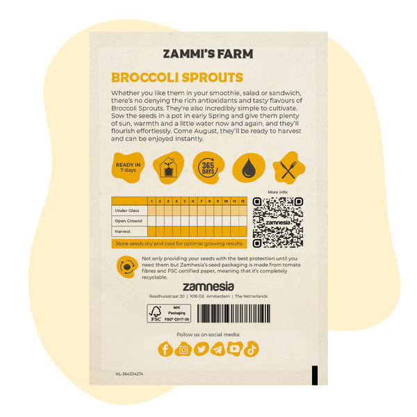 Broccolispirer (Brassica oleracea) frø