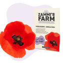 Kornvalmue ‘Single Red’ (Papaver rhoeas) frø