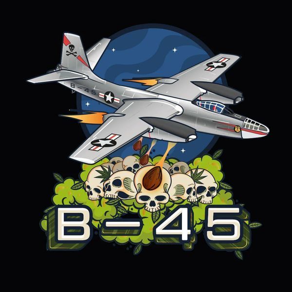 B-45 by Booba (Silent Seeds) Feminiserede