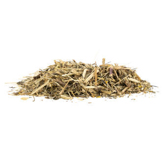 Mexicansk estragon (Tagetes lucida) 20 gram