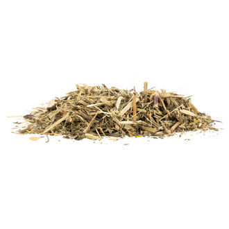 Mexicansk estragon (Tagetes lucida) 20 gram