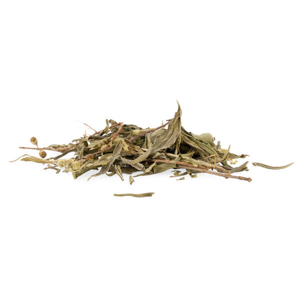Sinicuichi (Heimia salicifolia) 20 gram