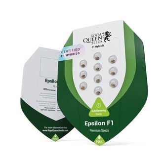 Epsilon F1 Autoflower (Royal Queen Seeds) Feminiserede