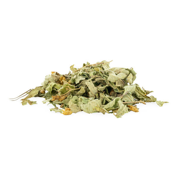 Drømmeurt (Calea zacatechichi) 20 gram