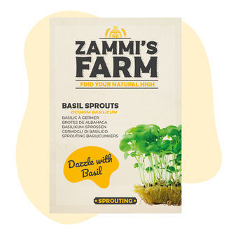 Basilikumespirer (Ocimum basilicum) frø