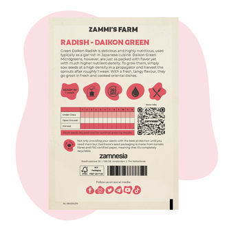 Mikrogrønt daikon-radise – frø til (Raphanus sativus)