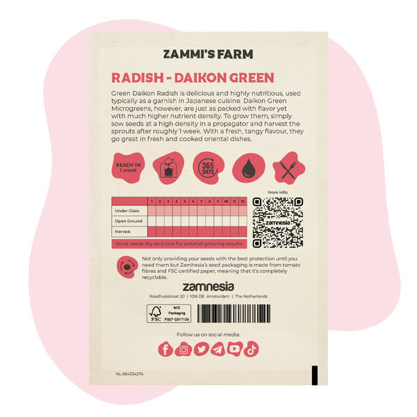 Mikrogrønt daikon-radise – frø til (Raphanus sativus)