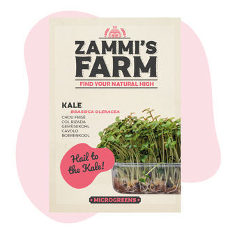 Microgreens Grønkål (Brassica oleracea) frø