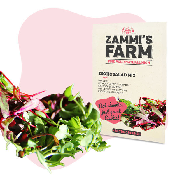 Microgreens eksotisk salatmix - frø