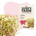 Microgreens salatmix (Lactuca sativa) frø