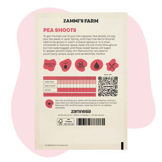 Microgreens ærteskudfrø (Pisum sativum)