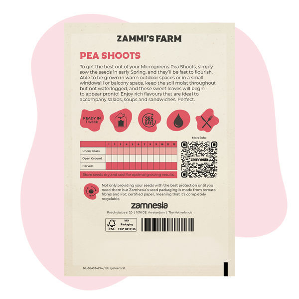 Microgreens ærteskudfrø (Pisum sativum)