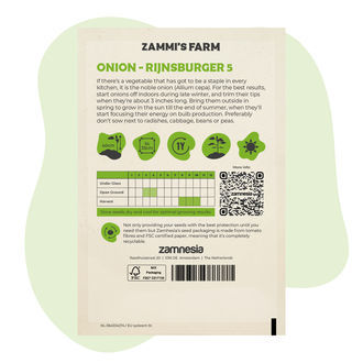 Løg – Rijnsburger 5 (Allium cepa) frø