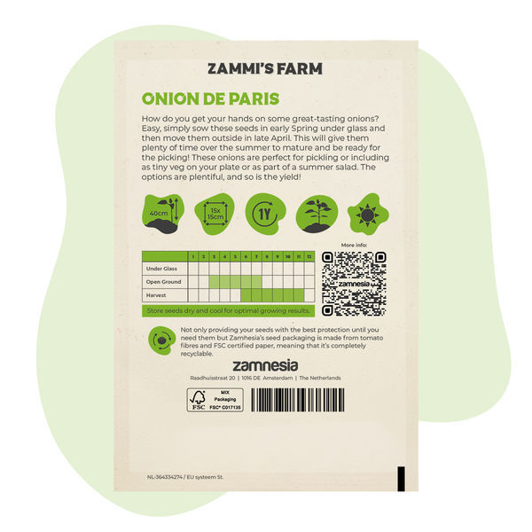 Onion de Paris (Allium cepa) frø