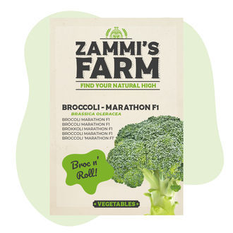 Broccoli Marathon F1 (Brassica oleracea) frø