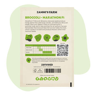 Broccoli Marathon F1 (Brassica oleracea) frø